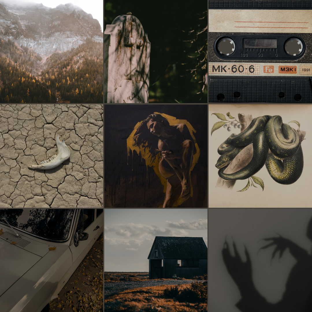 Review: to rule the desert – ari koontz